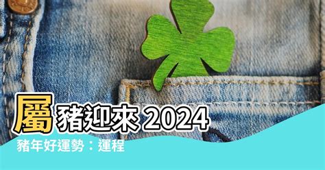 屬豬2024|【2024屬豬運程】2024屬豬運程：反覆向上、轉危為機！【開運。